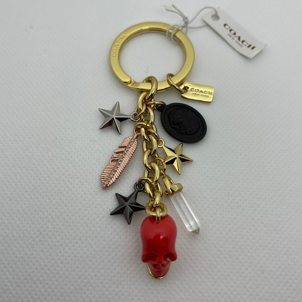 NWT Coach 💀 Rare Multi Charm Keychain